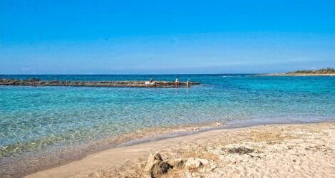 Riserva naturale Torre Guaceto: Top 5 motivi per visitare questa oasi protetta sull’Adriatico