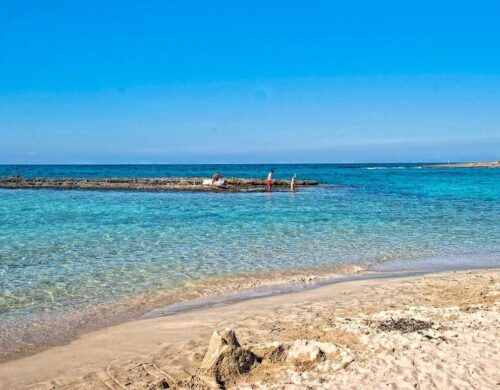 Riserva naturale Torre Guaceto: Top 5 motivi per visitare questa oasi protetta sull’Adriatico